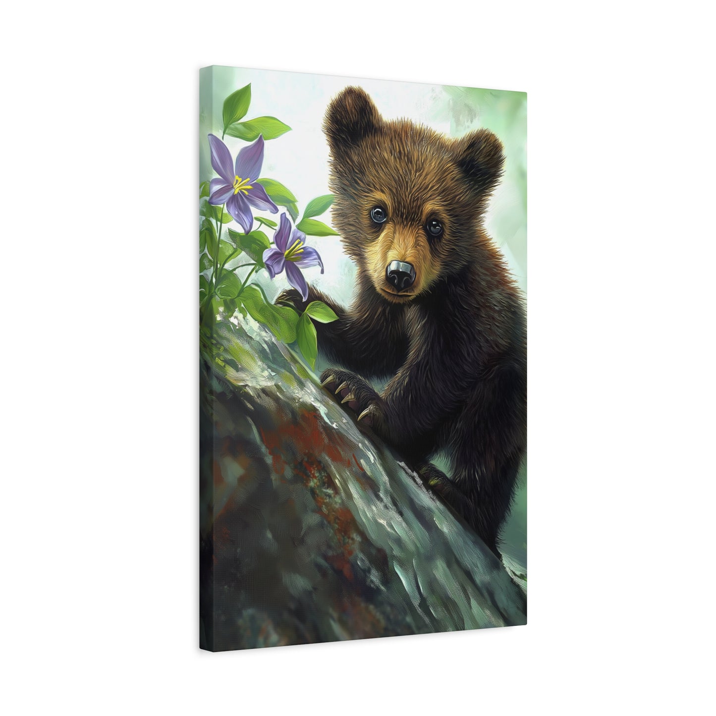 Bear Cub v44