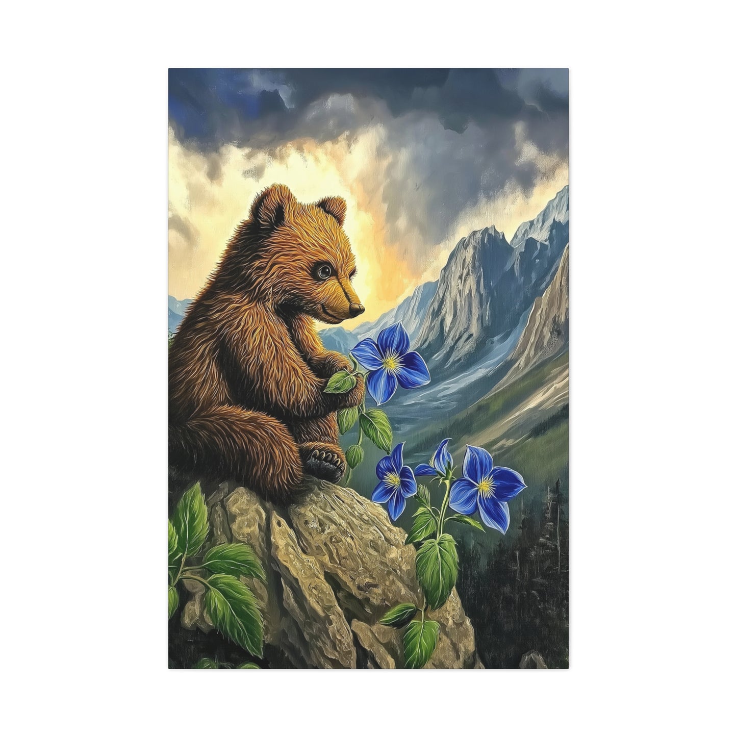 Mountain Bear Pondering