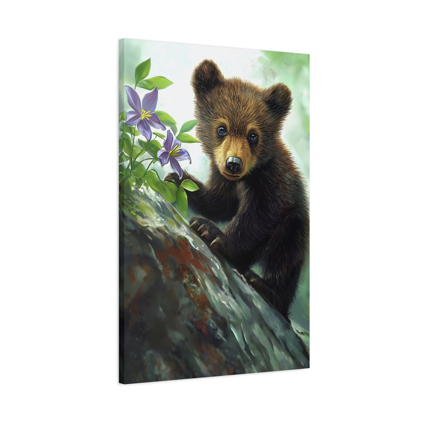 Bear Cub v44