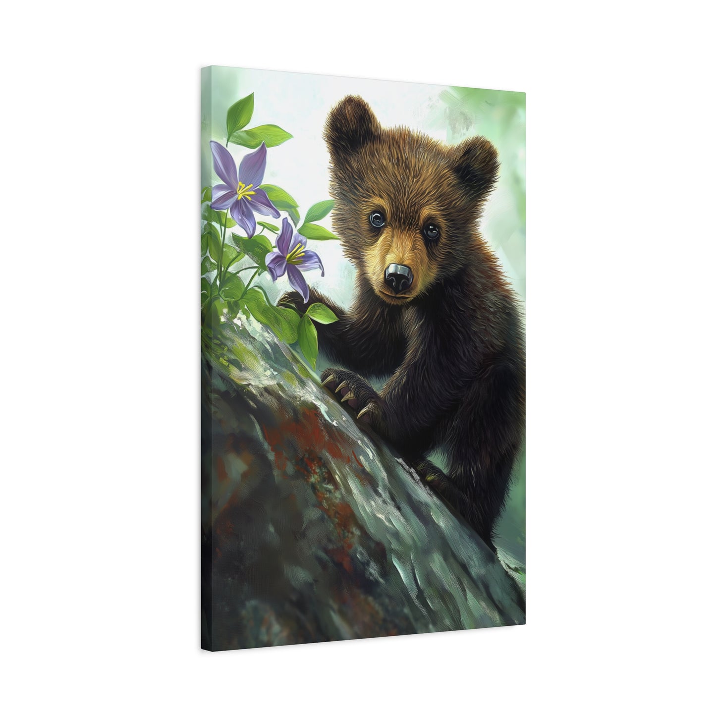 Bear Cub v44