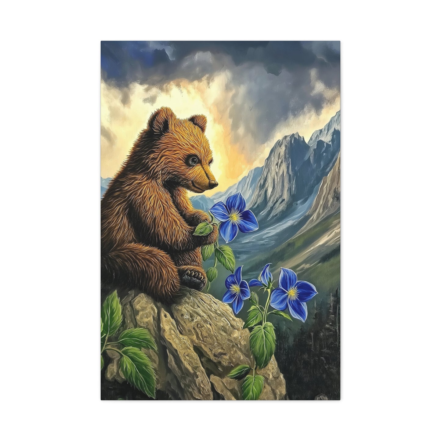 Mountain Bear Pondering