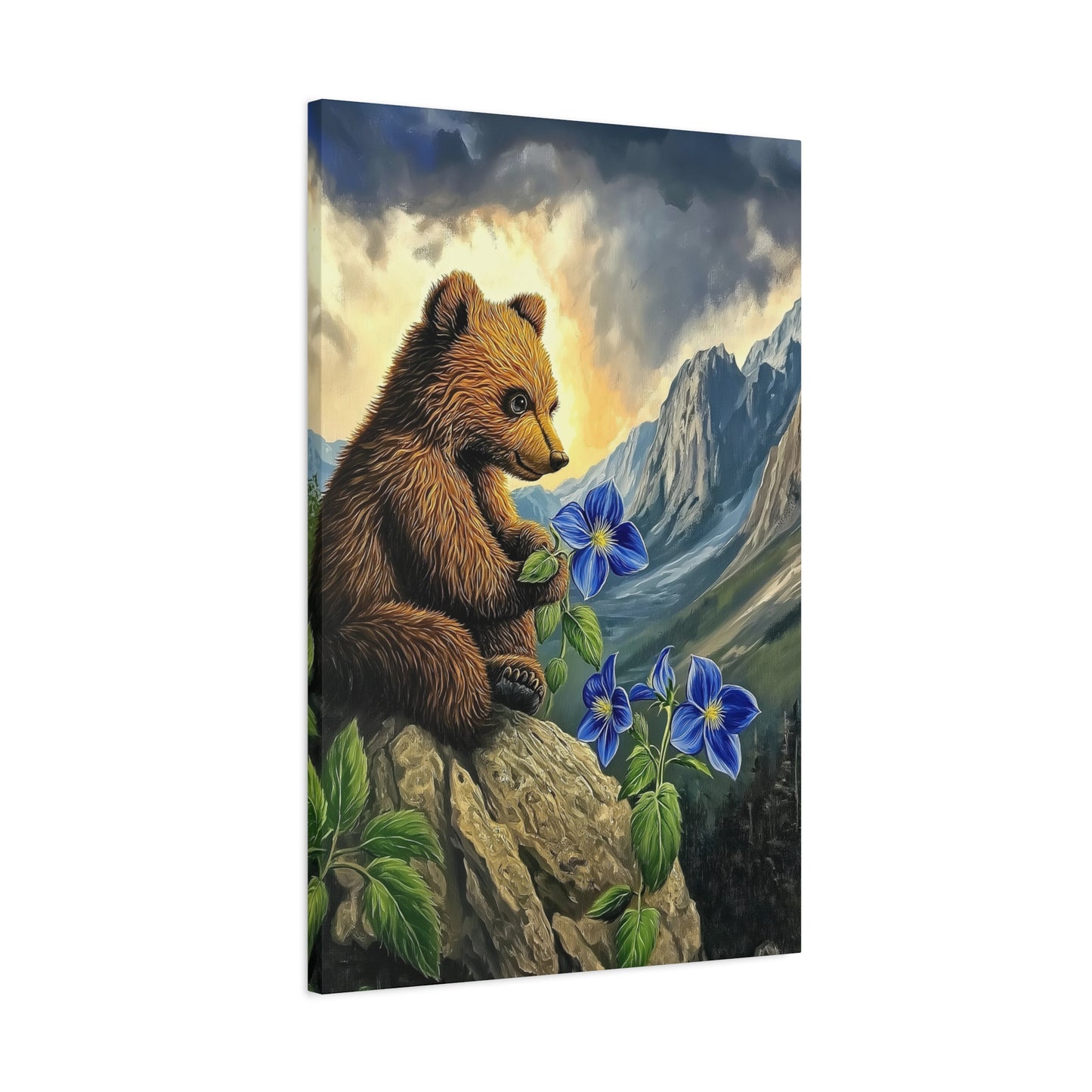 Mountain Bear Pondering