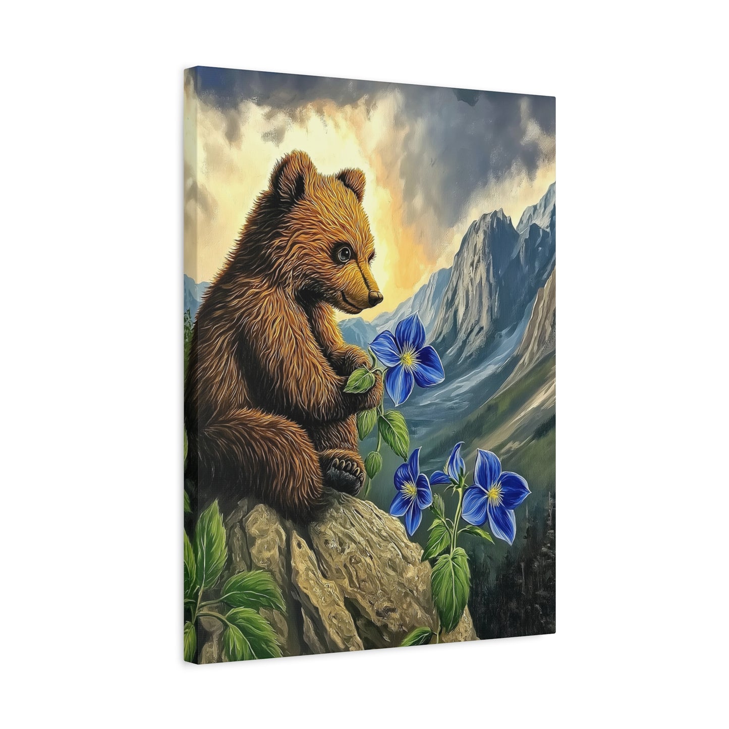 Mountain Bear Pondering
