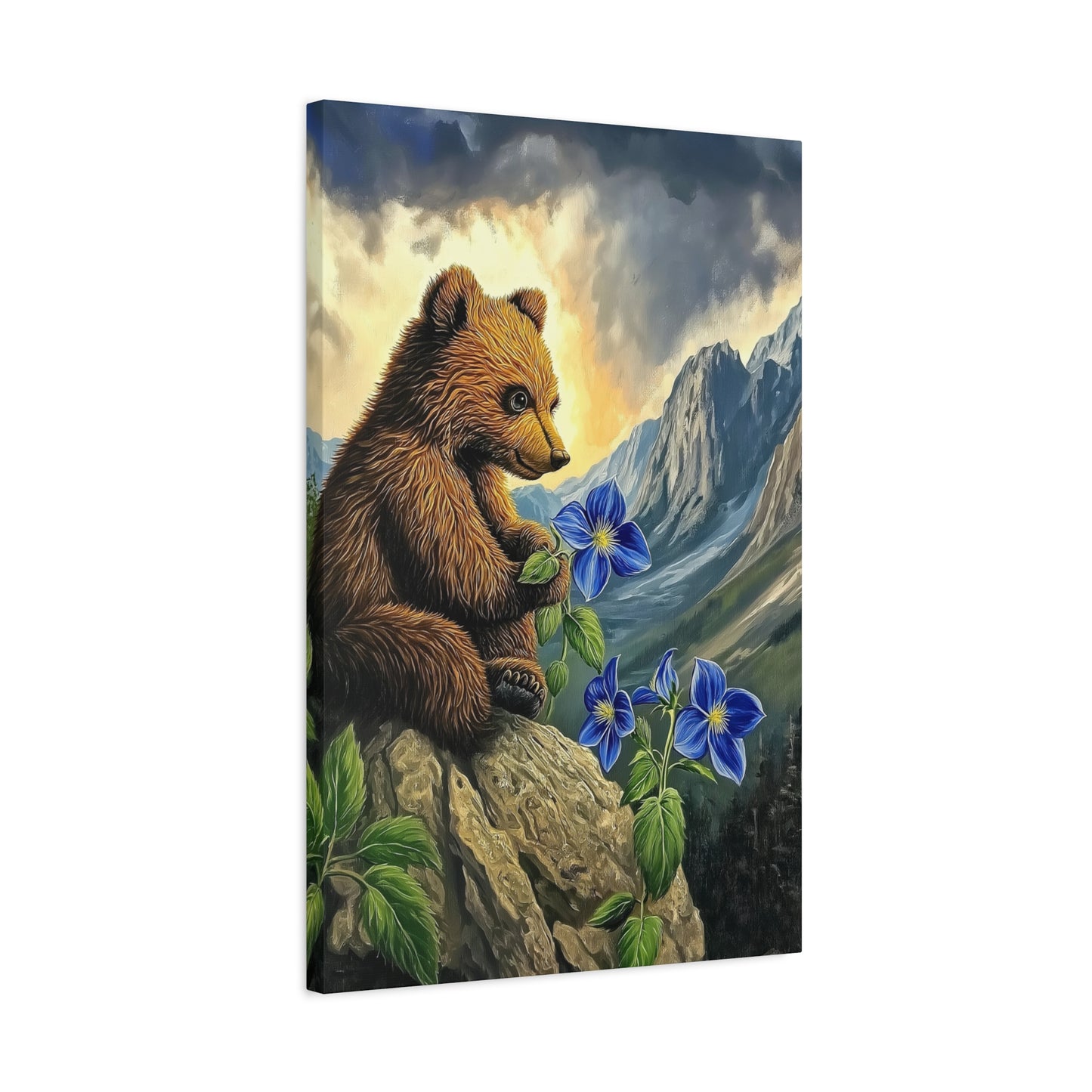 Mountain Bear Pondering