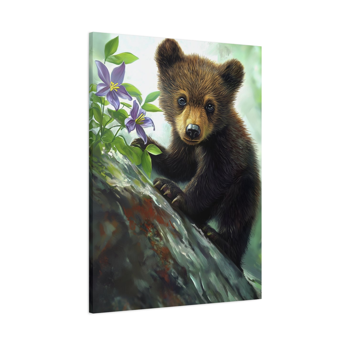 Bear Cub v44
