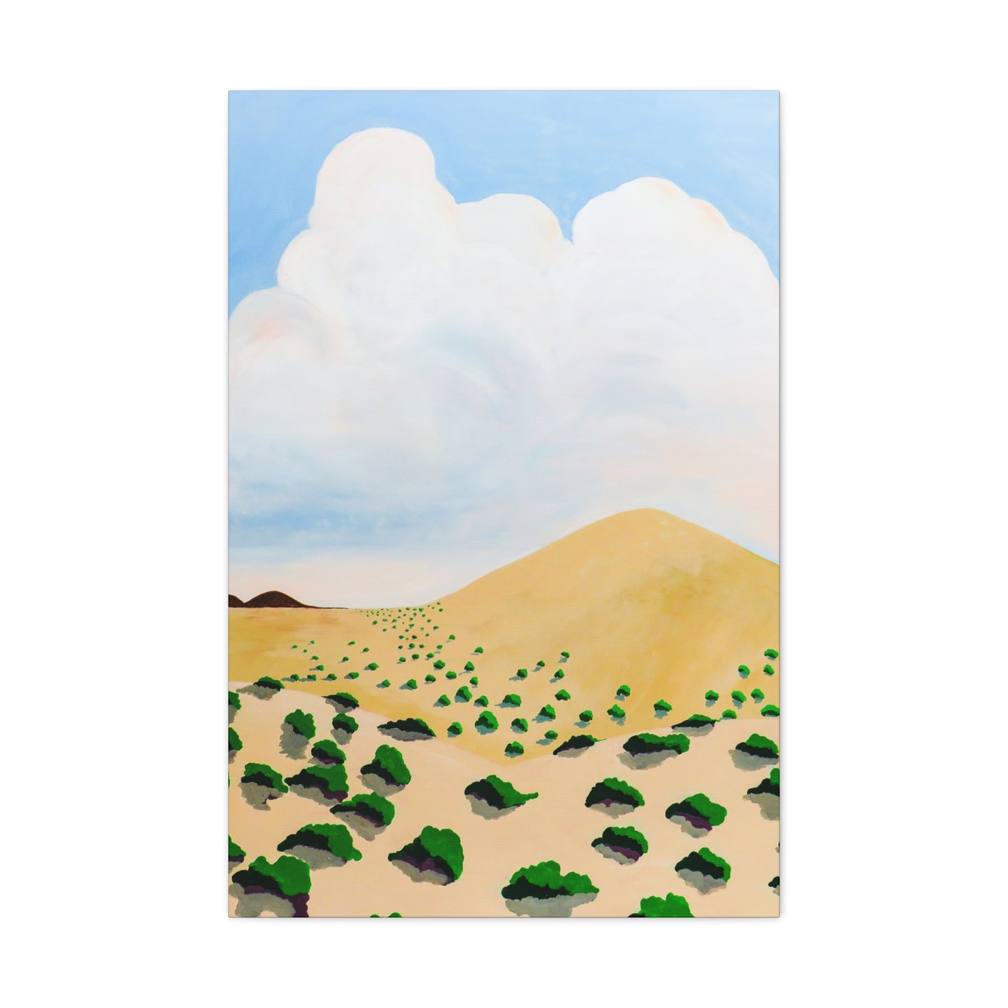 Desert 1 Canvas Gallery Wraps