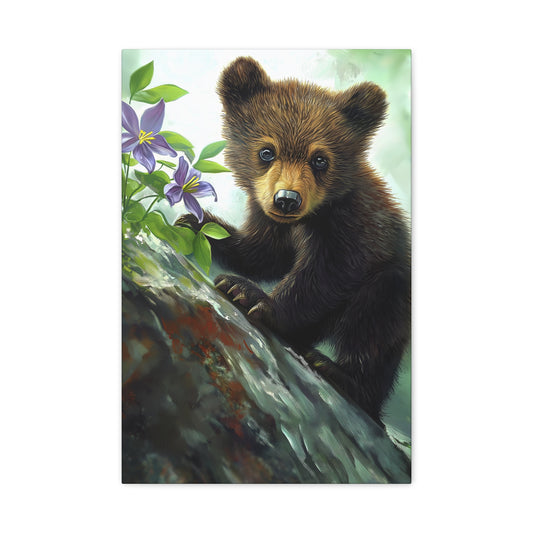 Bear Cub v44