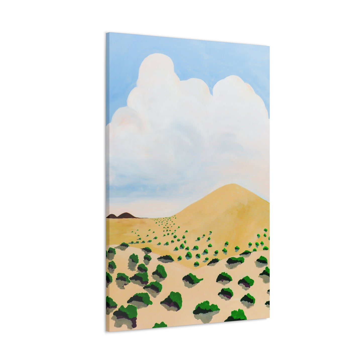 Desert 1 Canvas Gallery Wraps