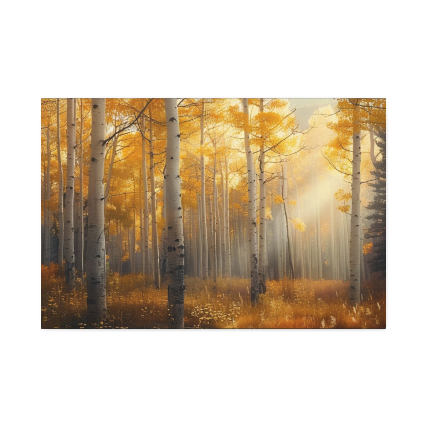 Aspen Forest 5 Canvas Stretched, 1.5''
