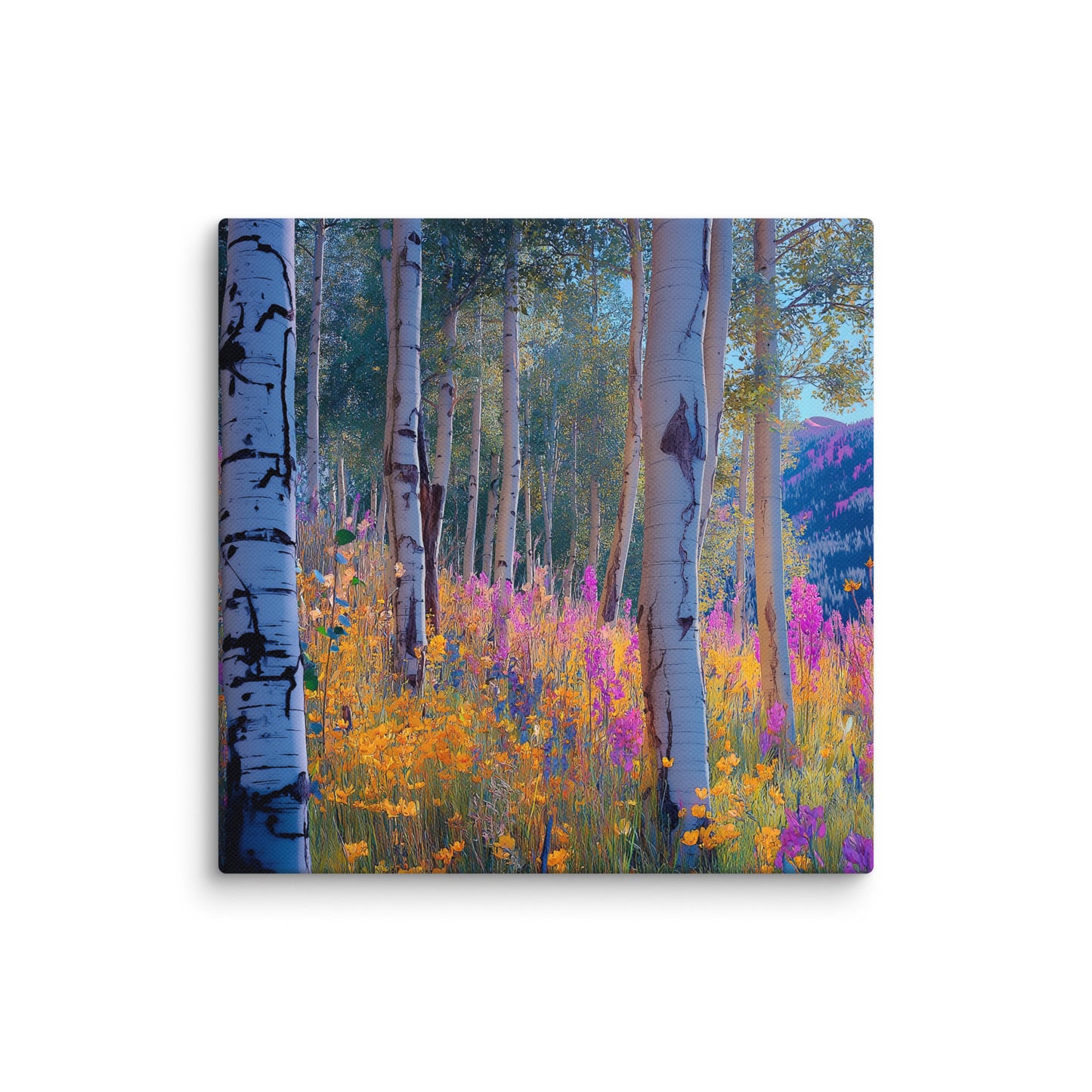 Aspen b6 Canvas