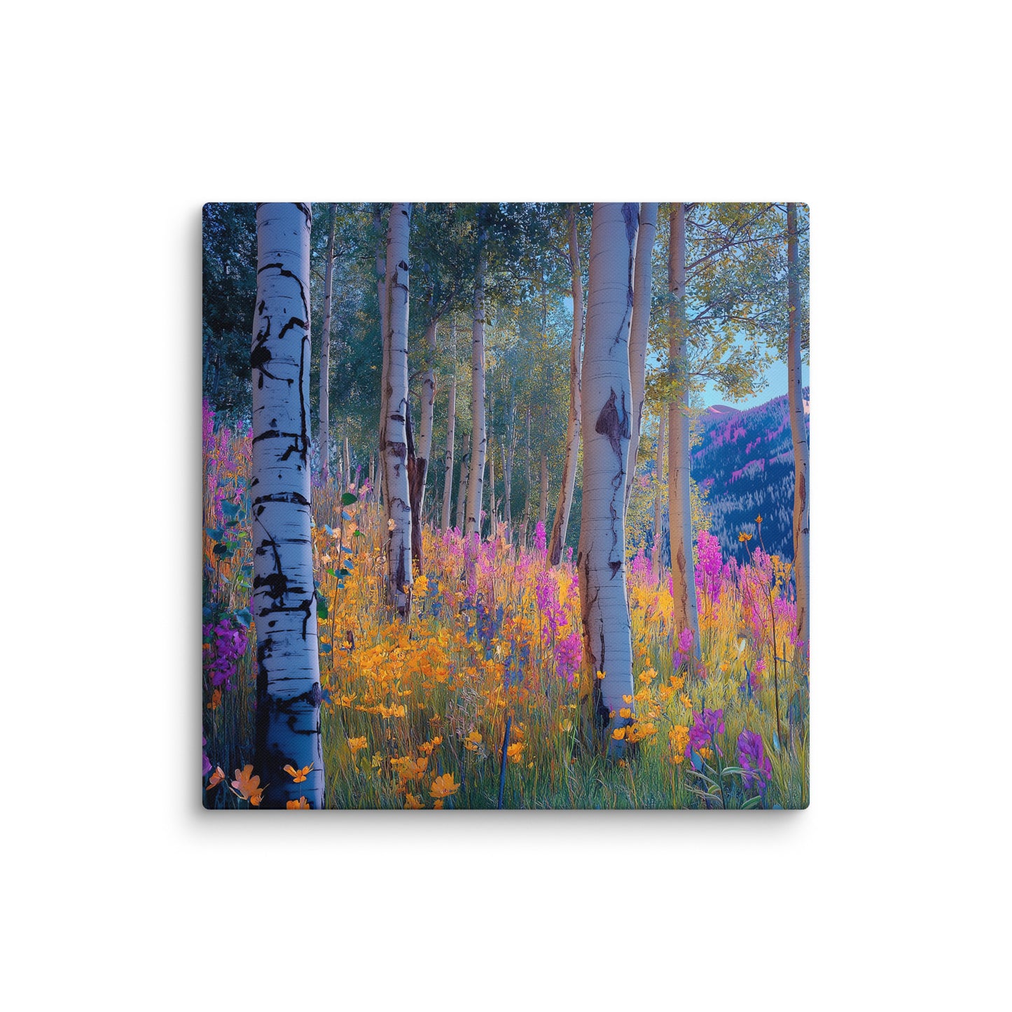 Aspen b6 Canvas