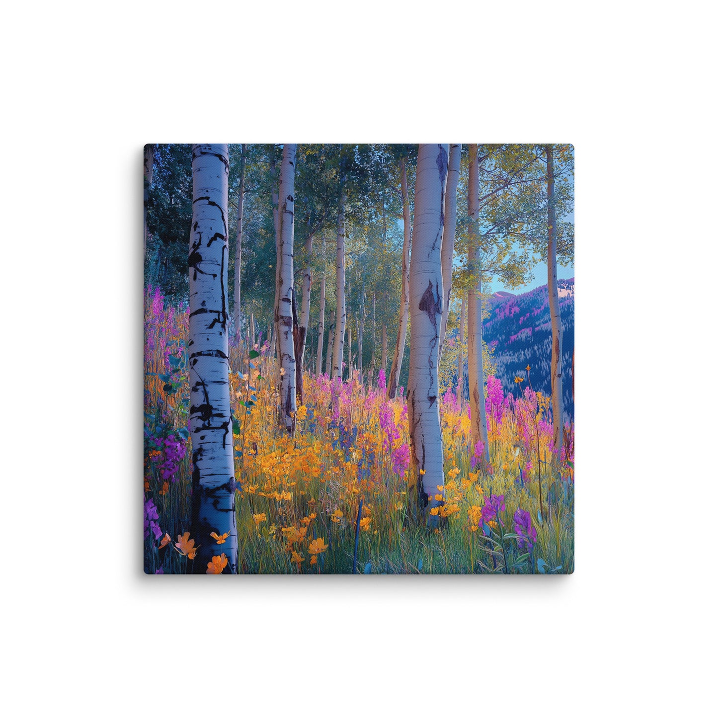 Aspen b6 Canvas